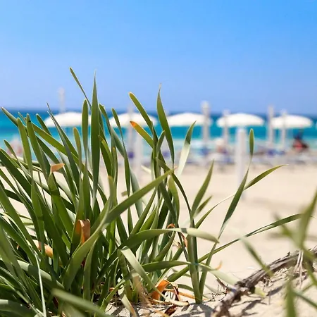 Holiday home Exclusive Beachfront Baia Verde *