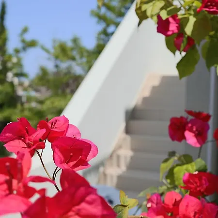 Holiday home Exclusive Beachfront Baia Verde Gallipoli